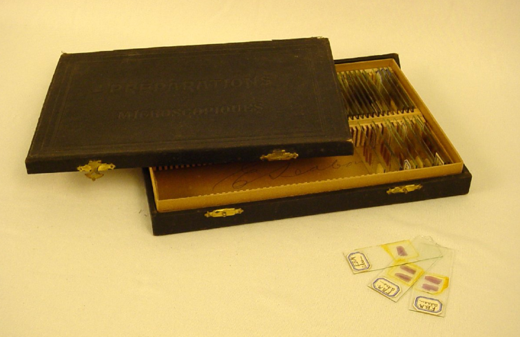 Image of box of microscope slides half open with some slides with pink stains sitting beside it.